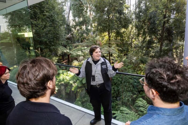 Melbourne: Melbourne Museum Guided Tour with Entry Ticket - What to Expect from Your Melbourne Museum Tour