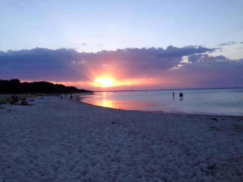 Melbourne: Mornington Peninsula and Moonlit Sanctuary Tour - Transportation and Practicalities