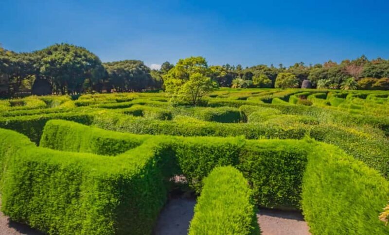 Melbourne: Mornington Peninsula and Moonlit Sanctuary Tour - Who Should Consider This Tour?