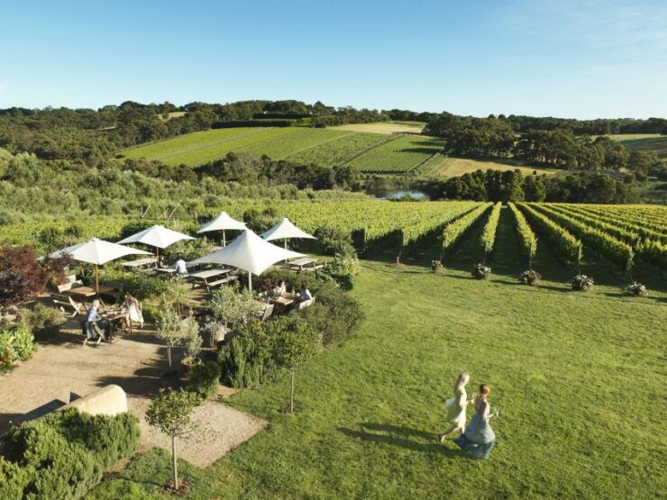 Melbourne: Mornington Peninsula Wine and Food Day Tour - Booking Details