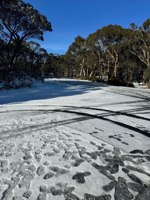 Melbourne: Mount Baw Baw Private Snow Tour with Guide - Who Should Consider This Tour?