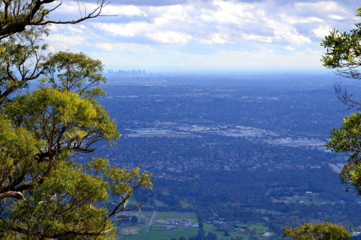 Melbourne: Mount Dandenong Bush Private Tour With Dinner - Tour Details
