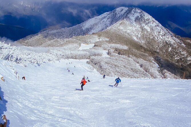 Melbourne: Mt Buller Snow Getaway Day Trip (6 Hours Fun on Snow) - Transportation and Group Size