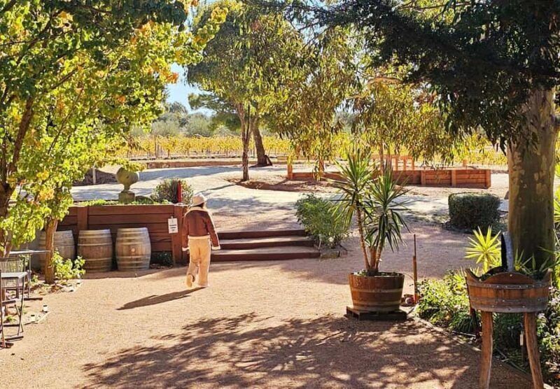 Melbourne: Murray River Paddle Steamer, Wine & Wildlife Tour - Good To Know