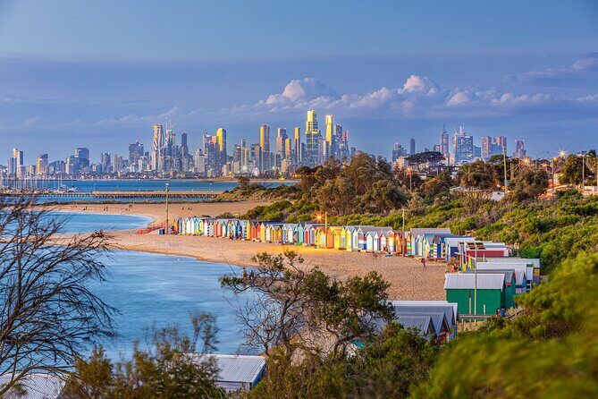 Melbourne: Penguin Parade , Koala & Brighton Bathing Boxes - What’s Included and What’s Not