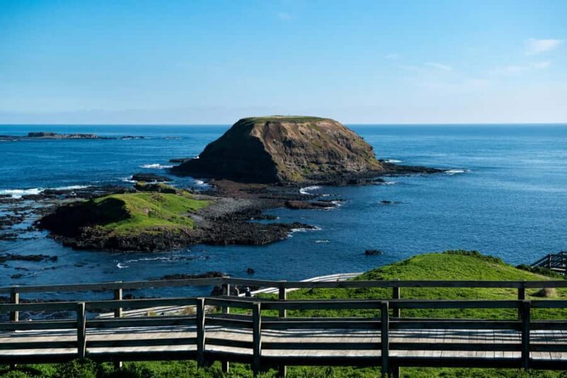 Melbourne: Penguin Parade , Koala & Brighton Bathing Boxes - The Itinerary in Detail