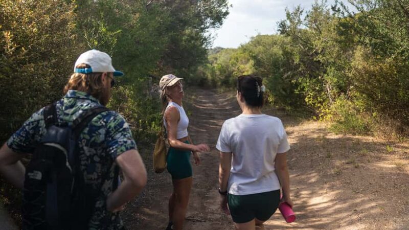 Melbourne: Peninsula Hot Springs with Lunch and Wine - The Sum Up