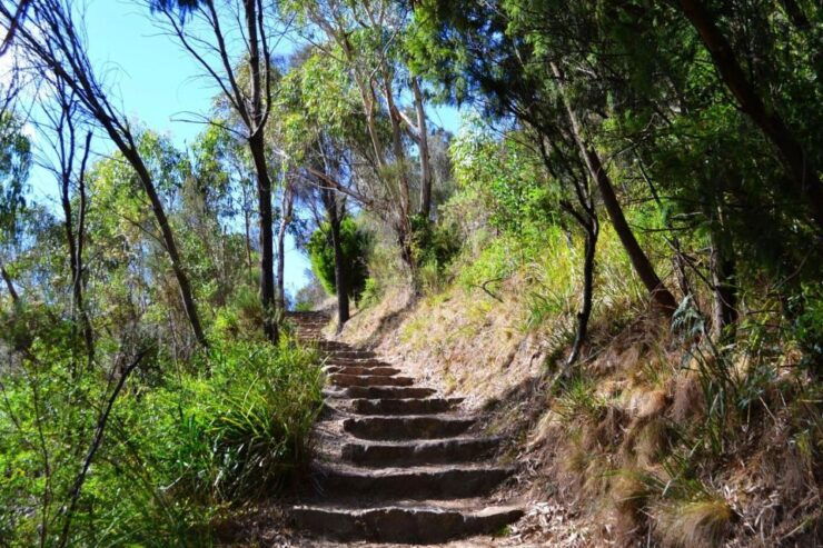 Melbourne: Peninsula Nature Private Day Trip With Dinner - Highlights and Inclusions