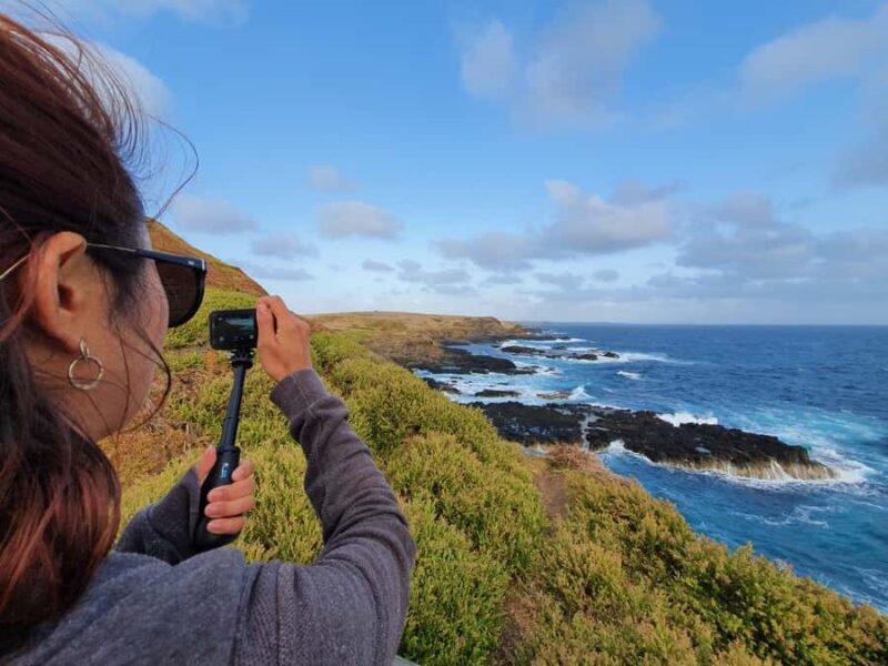 Melbourne: Phillip Island Penguins, Koalas & Hike Tour - Authentic Experiences and Guides You Can Trust