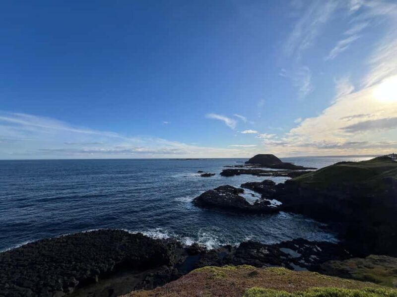 Melbourne: Phillip Island Private Tour, Penguin and Koala - Authentic Experiences: What Reviewers Say