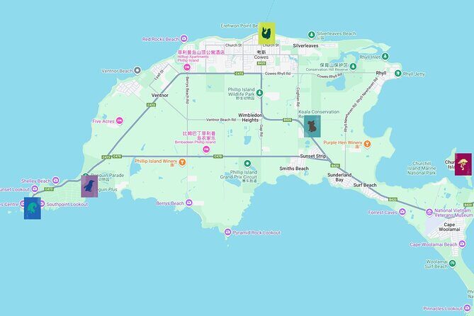 Melbourne Phillip Island Private Tour: Penguin Parade & Wildlife - In-Depth Look at the Itinerary