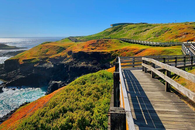 Melbourne Phillip Island Private Tour: Penguin Parade & Wildlife - The Experience from the Travelers Perspective
