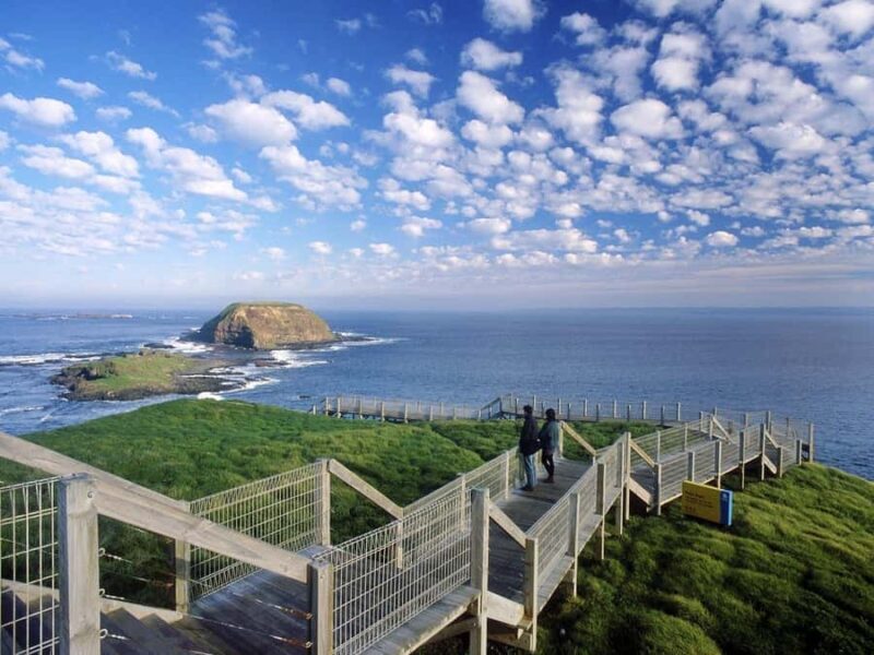 Melbourne: Phillip Island Tour with Koalas & Penguins - Introduction