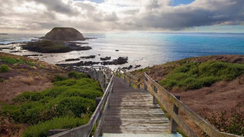 Melbourne: Phillip Island Tour with Koalas & Penguins - Good To Know