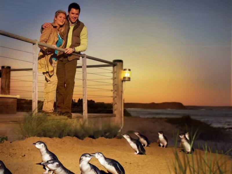Melbourne: Phillip Island Tour with Koalas & Penguins - Practical Details & What to Expect