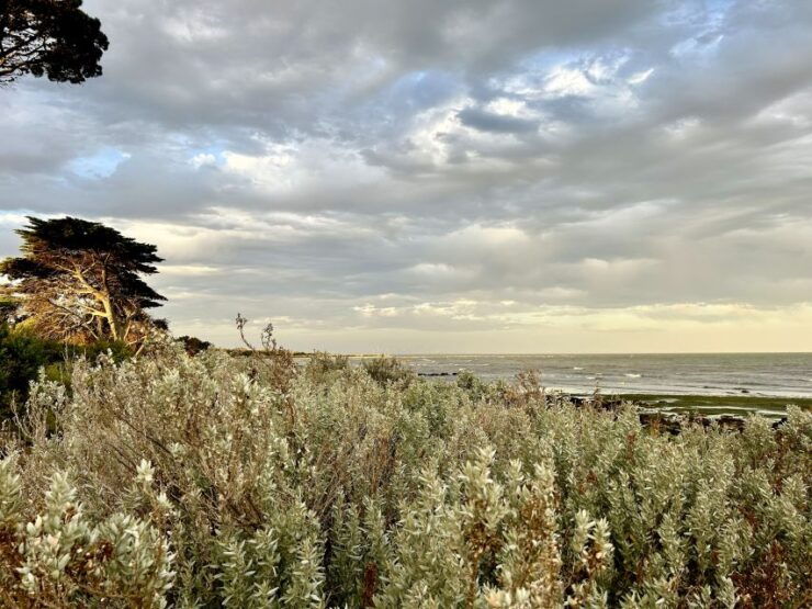Melbourne: Point Cook Homestead Ghost Tour - Activity Details