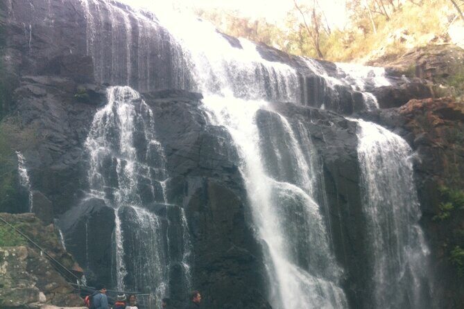 Melbourne: Private Grampian National Park Tours - Good To Know