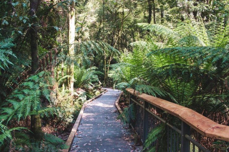 Melbourne: Private Great Ocean Road Day Tour With Lunch! - Tour Inclusions