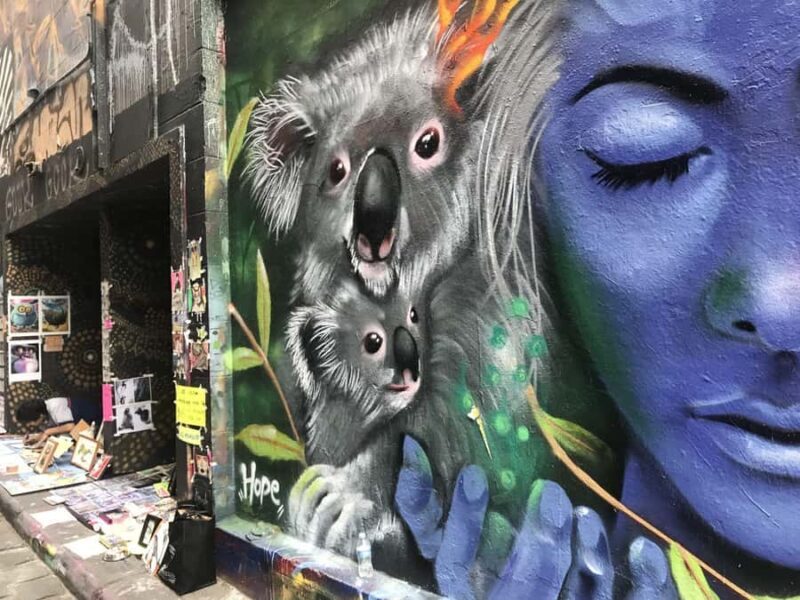 Melbourne Private Guided City Highlights Tour - Transportation & Group Size