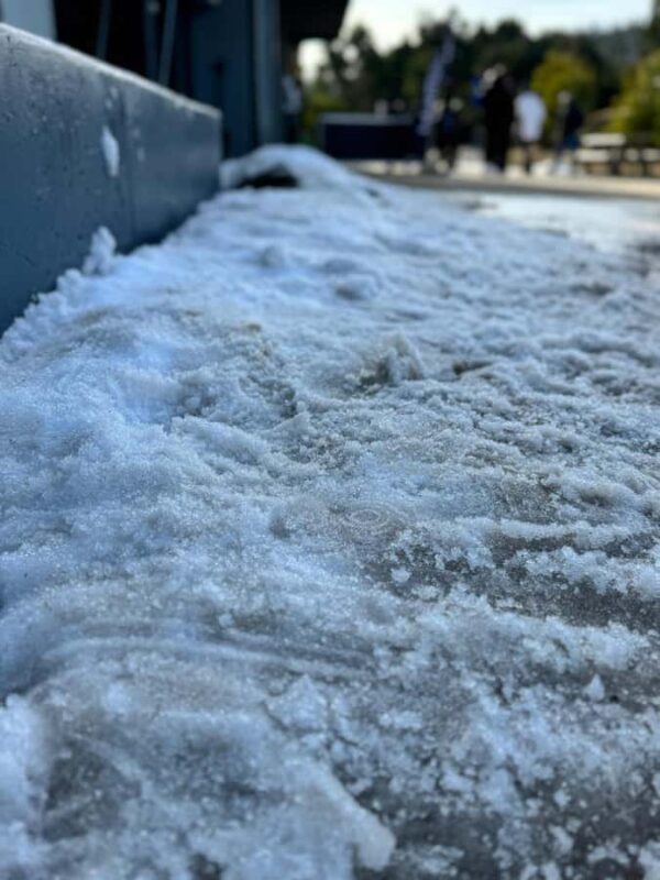 Melbourne: Private Lake Mountain Snow & Redwood Forest Tours - Good To Know