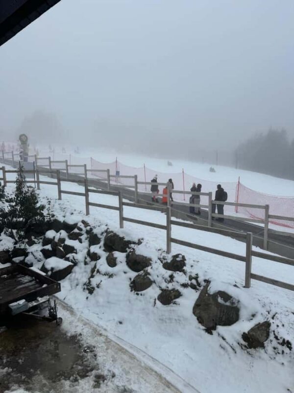 Melbourne: Private Lake Mountain Snow & Redwood Forest Tours - The Full Breakdown of the Tour Experience