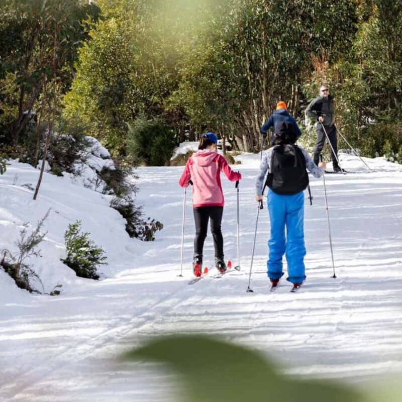 Melbourne: Private Lake Mountain Snow & Redwood Forest Tours - FAQs