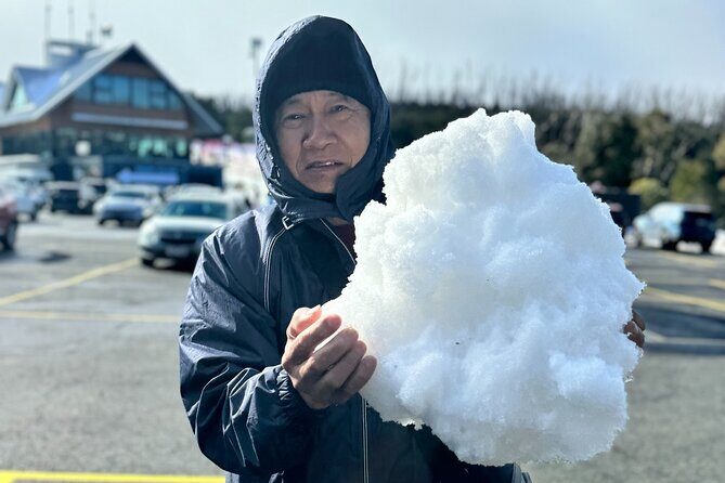 Melbourne: Private Lake Mountain Snow Tours & Redwood Rain Forest - Exploring the Day Tour: What to Expect and Why