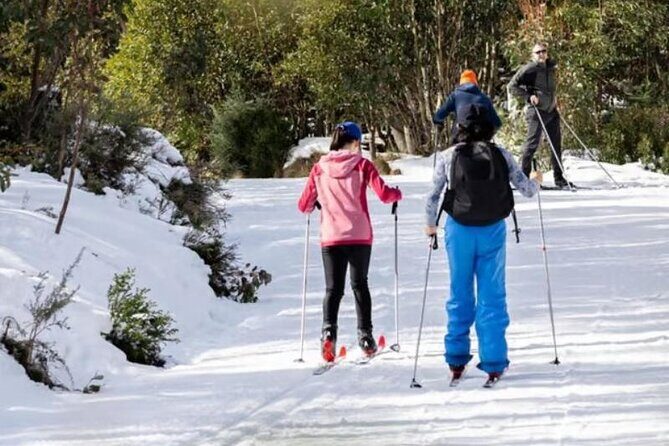 Melbourne: Private Lake Mountain Snow Tours & Redwood Rain Forest - The Sum Up