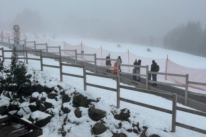 Melbourne: Private Lake Mountain Snow Tours & Redwood Rain Forest - FAQ