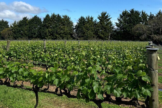 Melbourne: Private Mornington Peninsula & Winery Tours. - Final Thoughts