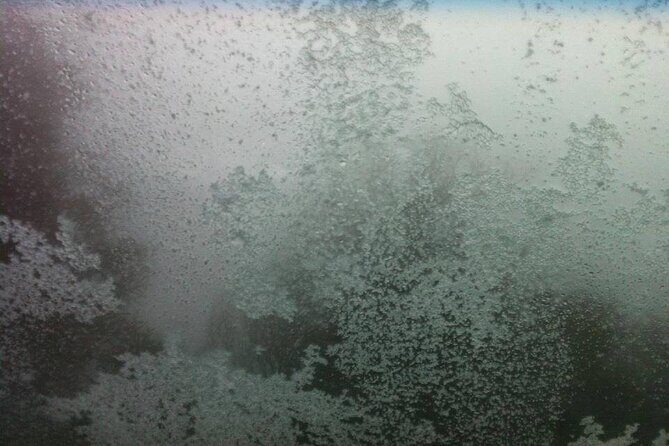 Melbourne: Private Mount Buller Snow and Ski Tours - Transportation and Timing