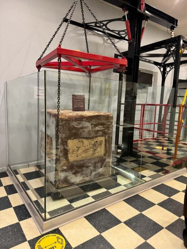 Melbourne: Private Phillip Island Penguin Parade Tours - Introduction