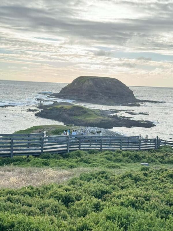 Melbourne: Private Phillip Island Penguin Parade Tours - FAQ