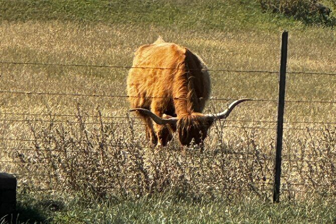 Melbourne: Private Puffing Billy Train & Phillip Island Tours - Churchill Island: Heritage and Farm Life