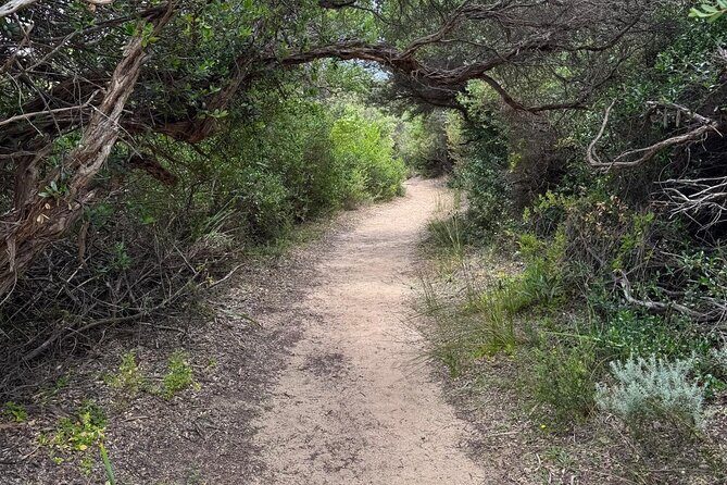 Melbourne: Private Wilson Promontory National Park Day Tours - Why Choose This Tour?