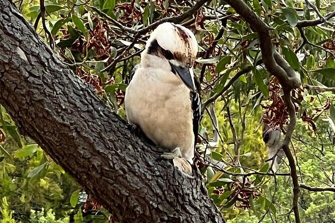Melbourne: Private Wilson Promontory National Park Day Tours - Value and Pricing
