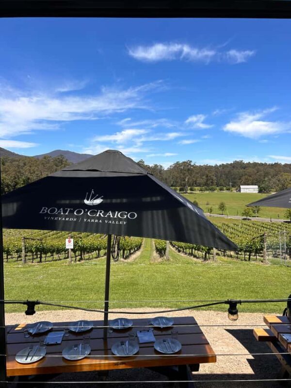 Melbourne: Private Yarra Valley Wine Tour with Transfers - Practical Tips for Your Day