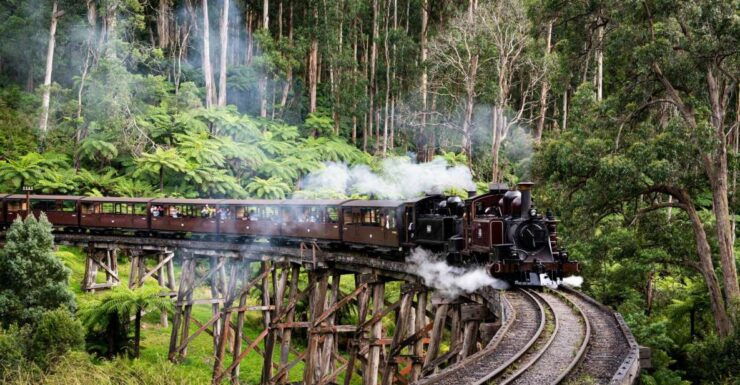Melbourne: Puffing Billy, Moonlit Sanctuary & Penguin Parade - Tour Details