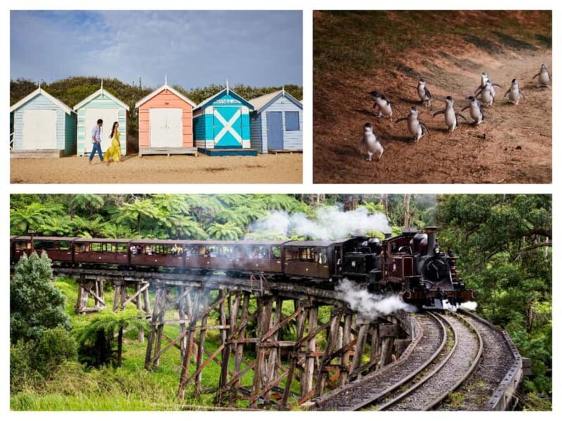 Melbourne: Puffing Billy Penguin Parade Brighton Boxes Tour - A Full Breakdown of the Experience