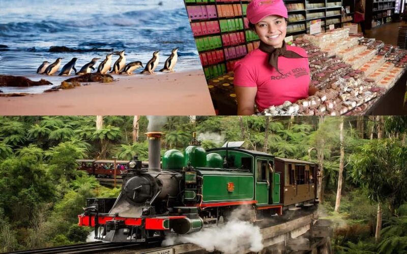 Melbourne Puffing Billy Penguin Yarra Valley Wine choc Tour - An In-Depth Look at the Tour
