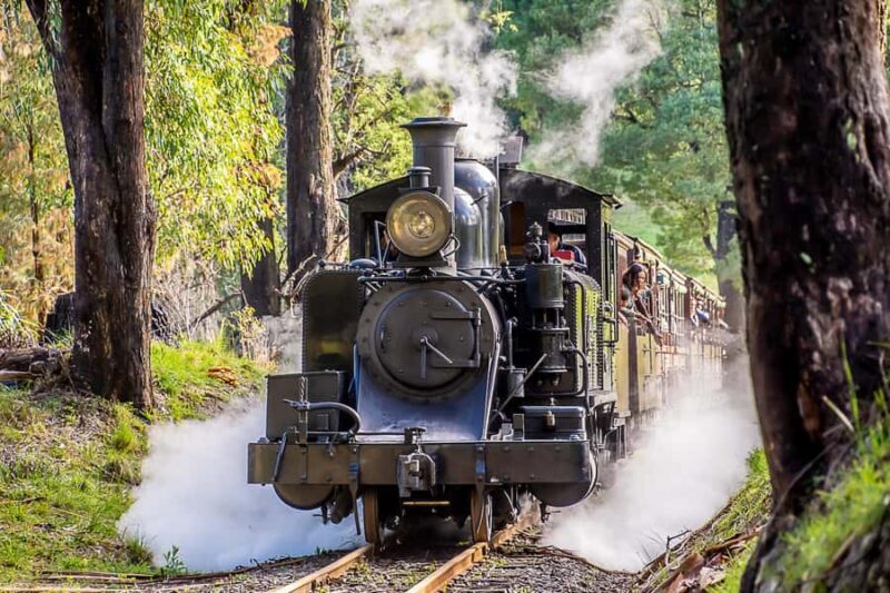 Melbourne Puffing Billy & Penguins Day Tour - An In-Depth Look at the Tour Experience