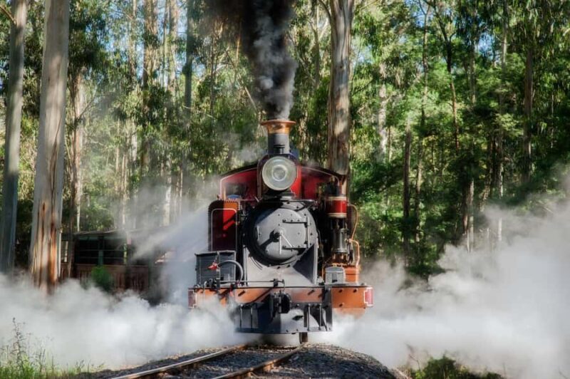 Melbourne Puffing Billy & Penguins Day Tour - FAQ