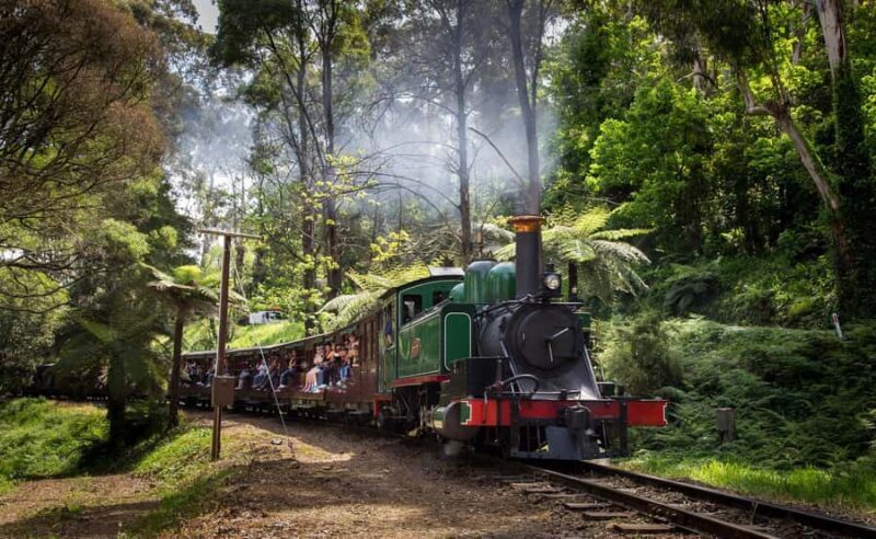 Melbourne: Puffing Billy Railway & Rainforest Tour - Final Thoughts