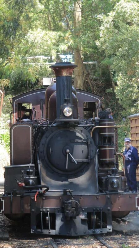 Melbourne: Puffing Billy Train and Penguin Island Day Tour - Good To Know