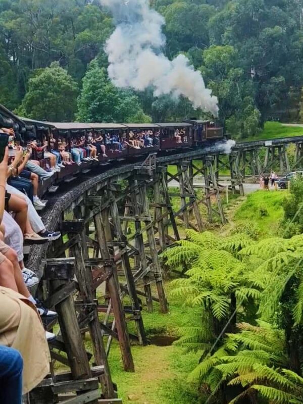Melbourne: Puffing Billy Train and Penguin Island Day Tour - An Introduction to the Tour Experience
