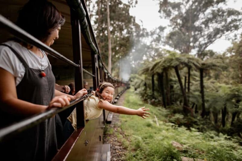 Melbourne: Puffing Billy Train & Penguin Parade Adventure - The Itinerary Breakdown: What You Can Expect