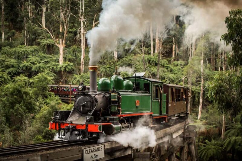 Melbourne: Puffing Billy Train & Penguin Parade Adventure - Final Thoughts: Is It Worth It?