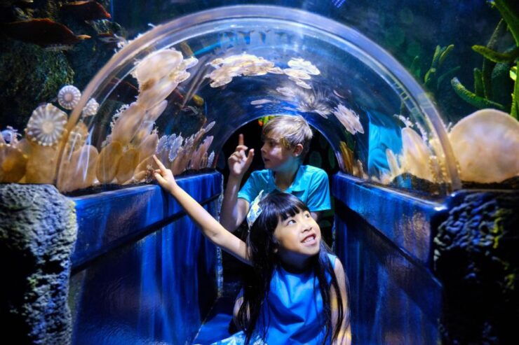 Melbourne: SEA LIFE Aquarium Entrance Ticket - Experience Highlights