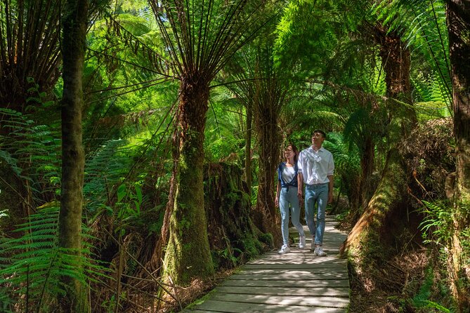 Melbourne Short Break Holiday to the Great Ocean Road & Grampians 3 Day Escape - Tour Itinerary