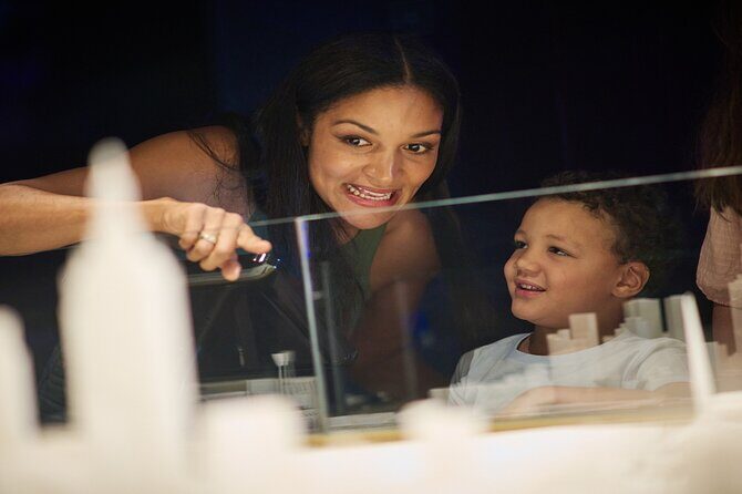 Melbourne Skydeck General Admission Ticket - The Experience in Detail